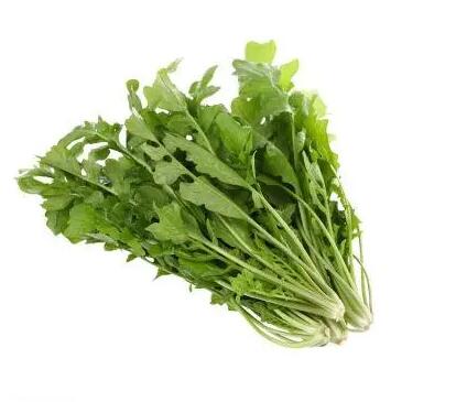 厦门休闲养生网分享：春季来了有哪些野菜可以吃